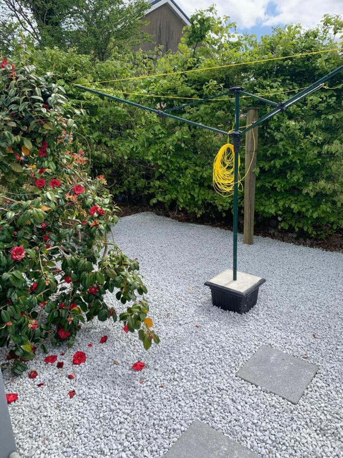 Mountain View Apartment Killarney Dış mekan fotoğraf